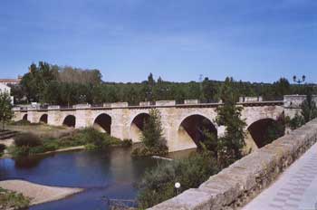 Bridge at Carrion 