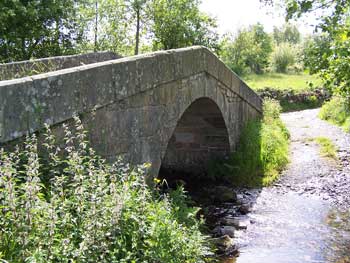 Camino bridge