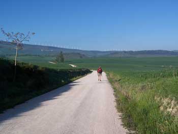 Camino outside Cizur Menor